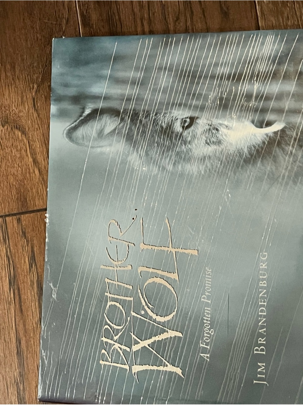 Brother Wolf: A Forgotten Promise by Jim Brandenburg photography book